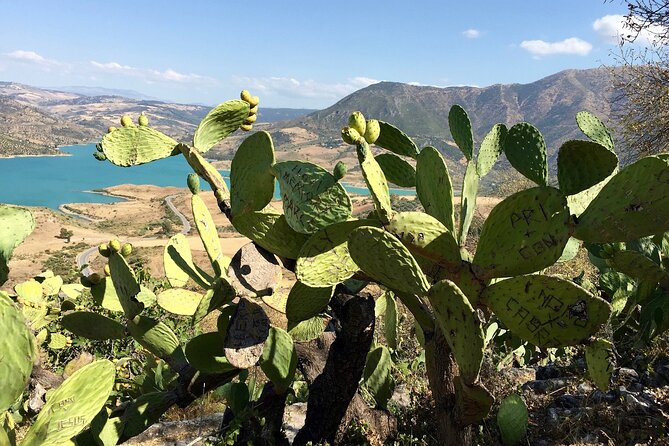 Wine, Tapas & Lake Zahara by e-bike incl Ronda pickup (full day) - Who this tour is best for