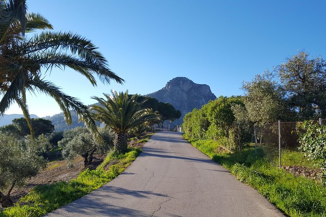 Wine & Tapas tour by electric bike (e-bike) including Ronda pickup (full day) - Stop 1 in El Gastor: a short walk in a classic white village