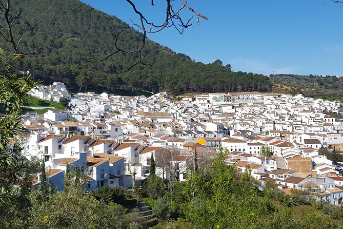 Wine & Tapas tour by electric bike (e-bike) including Ronda pickup (full day) - Stop 2 in Montecorto: more village time and photo chances
