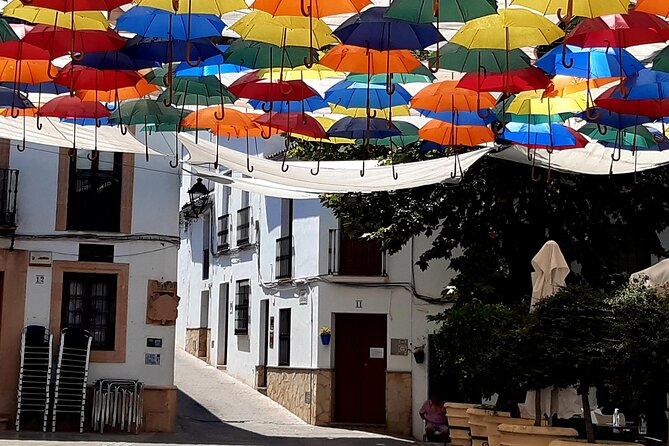 Wine & Tapas tour by electric bike (e-bike) including Ronda pickup (full day) - Transportation, timing, and the rhythm of the full day